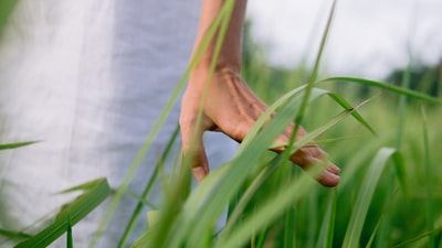 人踏青草